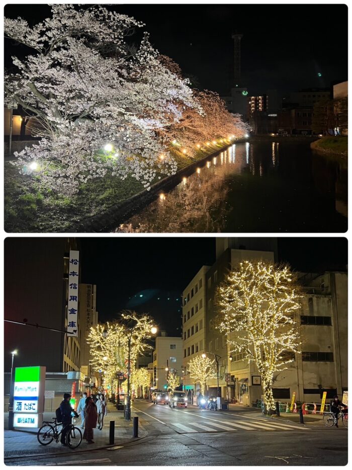 松本城_夜桜-20230407