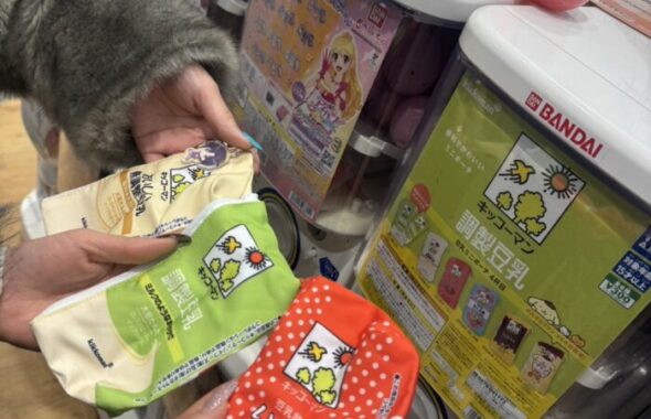 ガチャガチャ_20260223