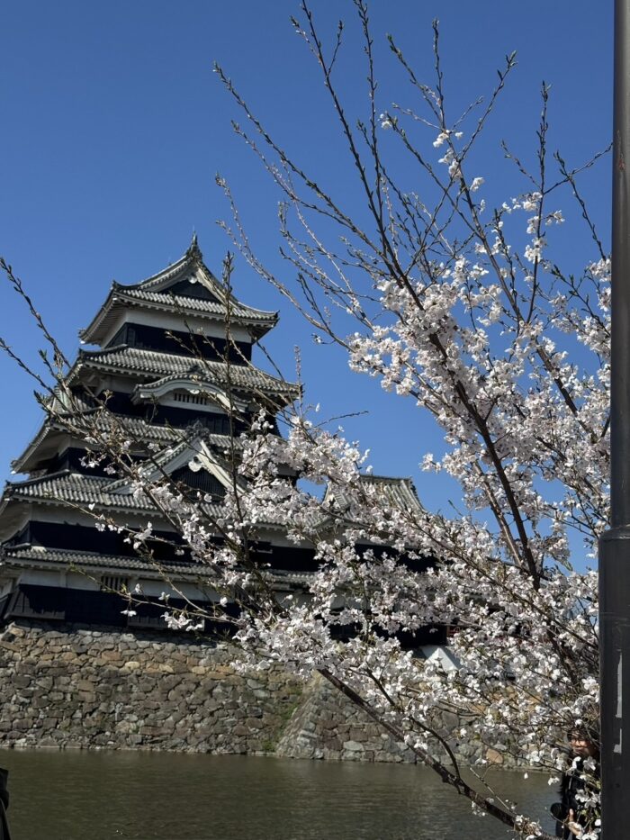 松本城_20260419-2